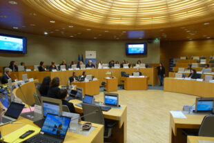 Réunion du Comité de suivi Interreg ©Interreg Rhin supérieur