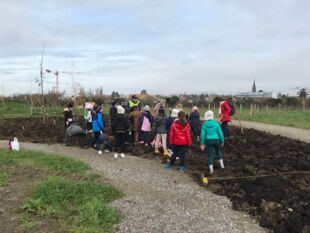 Action de plantation Parc des carrières
