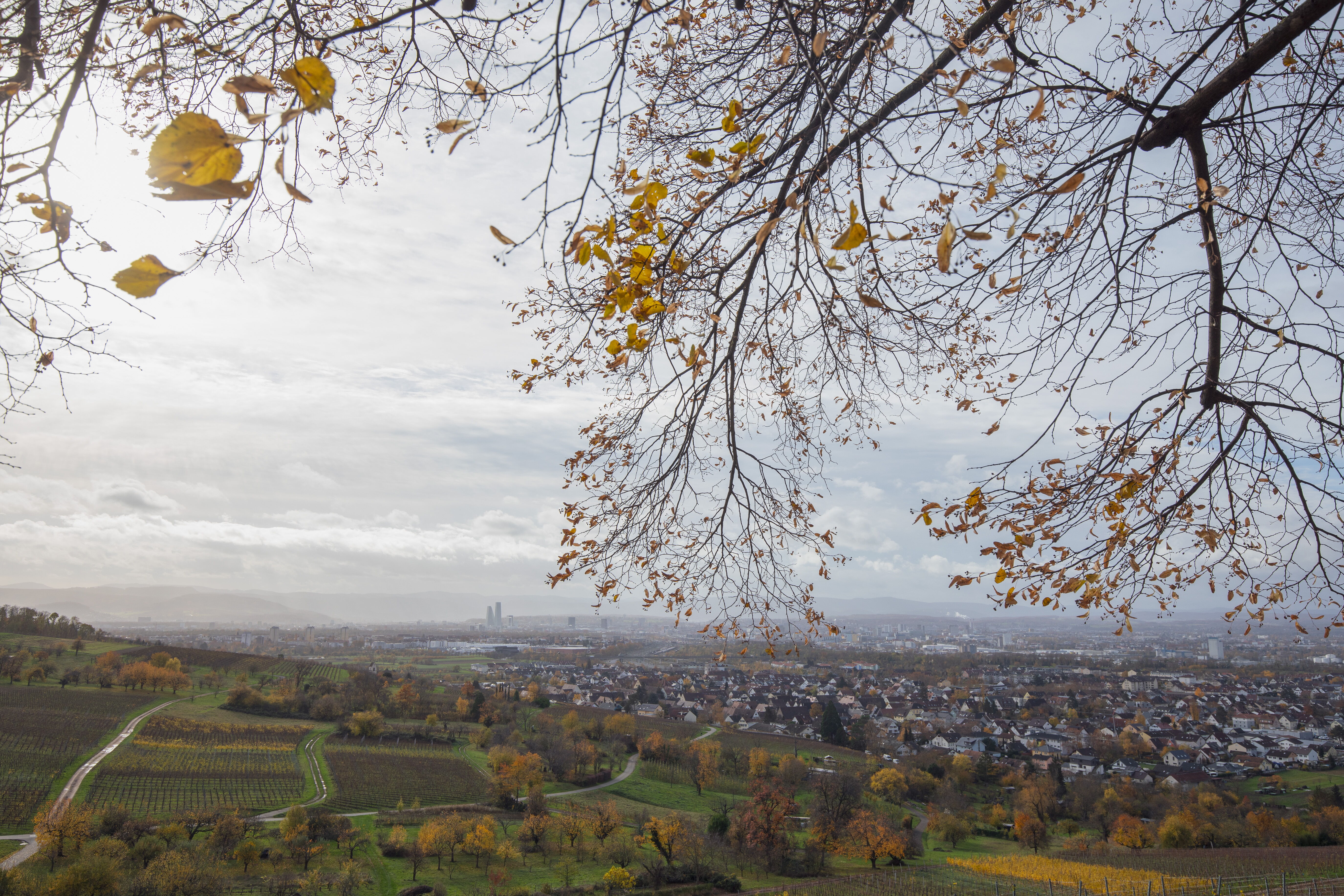 Aussicht von Ötlingen Weil am Rhein ©Julien Kauffmann