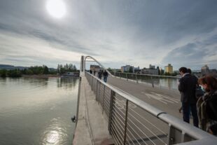 Passerelle des Trois Frontières