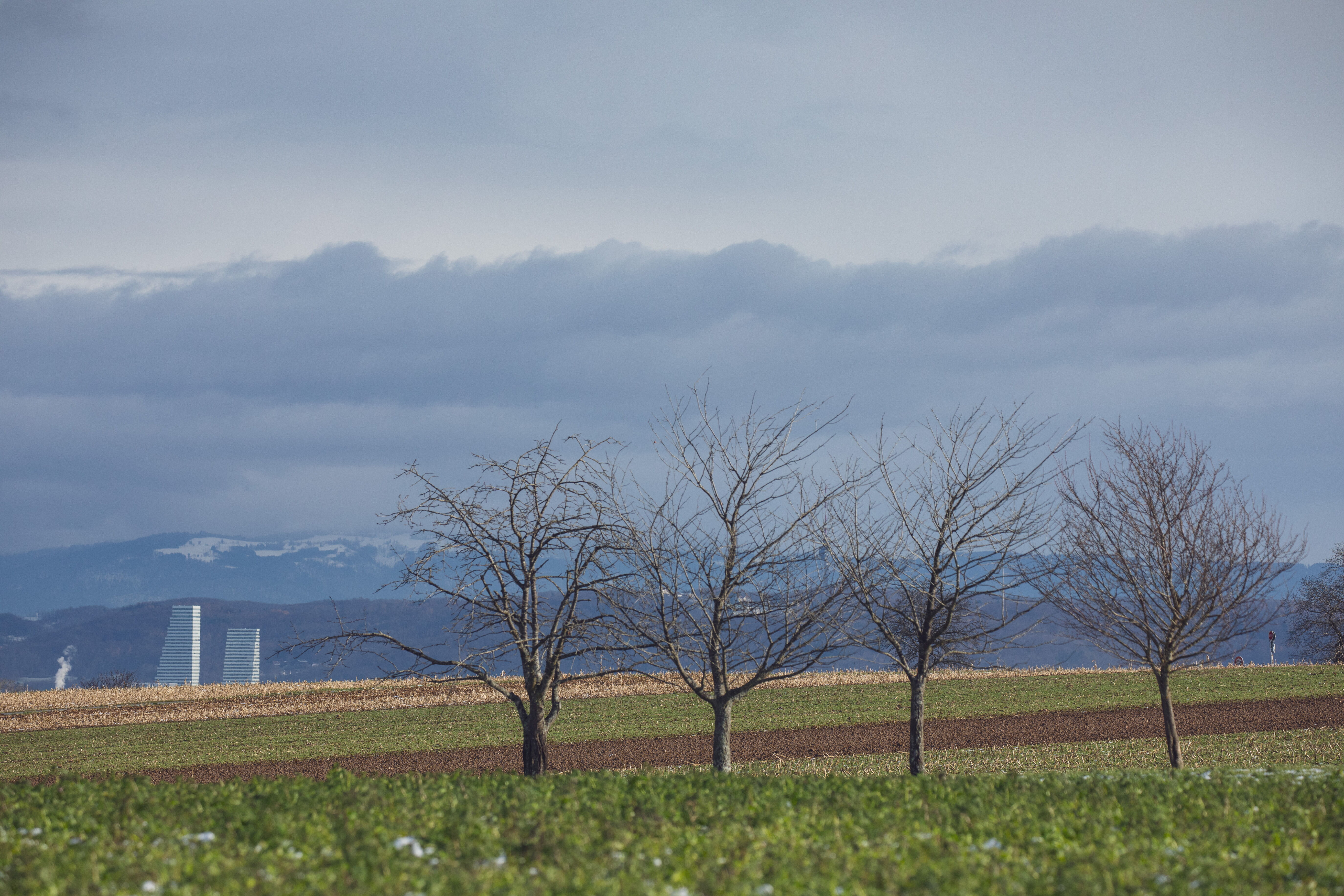 Vue depuis le Sundgau ©Julien Kauffmann