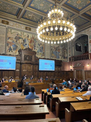 TEB-Districtsrat im Basler Rathaus